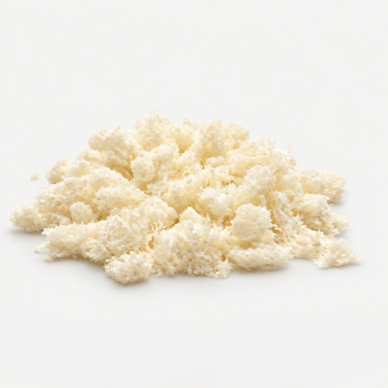 HC  <br> Bone particulates
