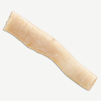 HC Biologics  <br> Costal Cartilage Allograft