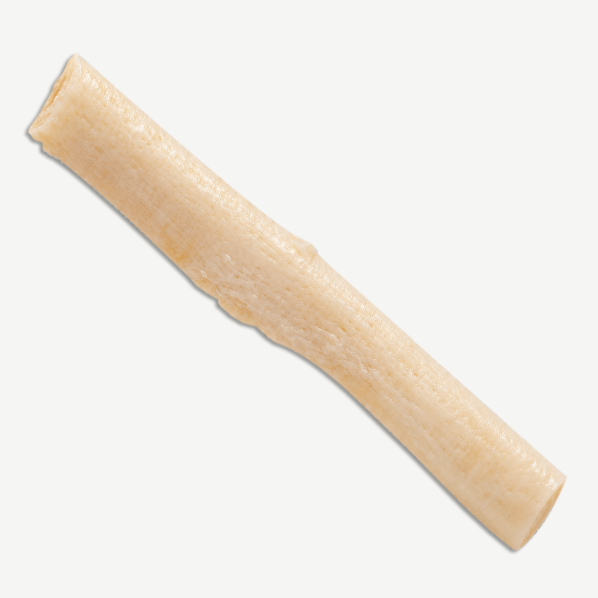 HC Biologics <br> Costal Cartilage Allograft - Image 2