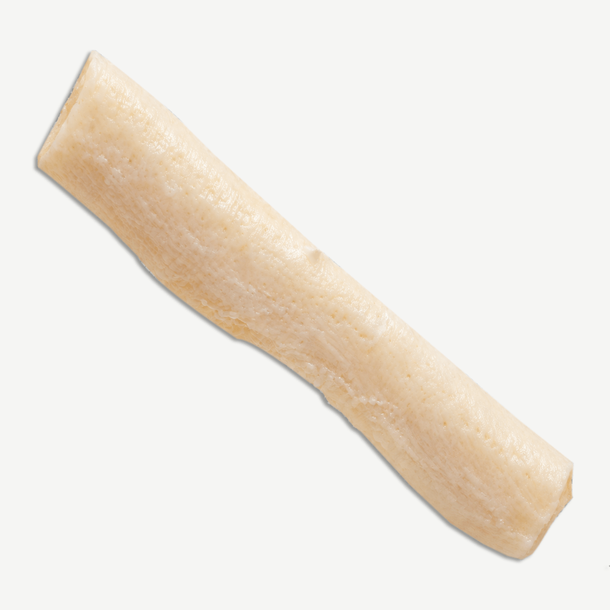 HC Biologics <br> Costal Cartilage Allograft - Image 3